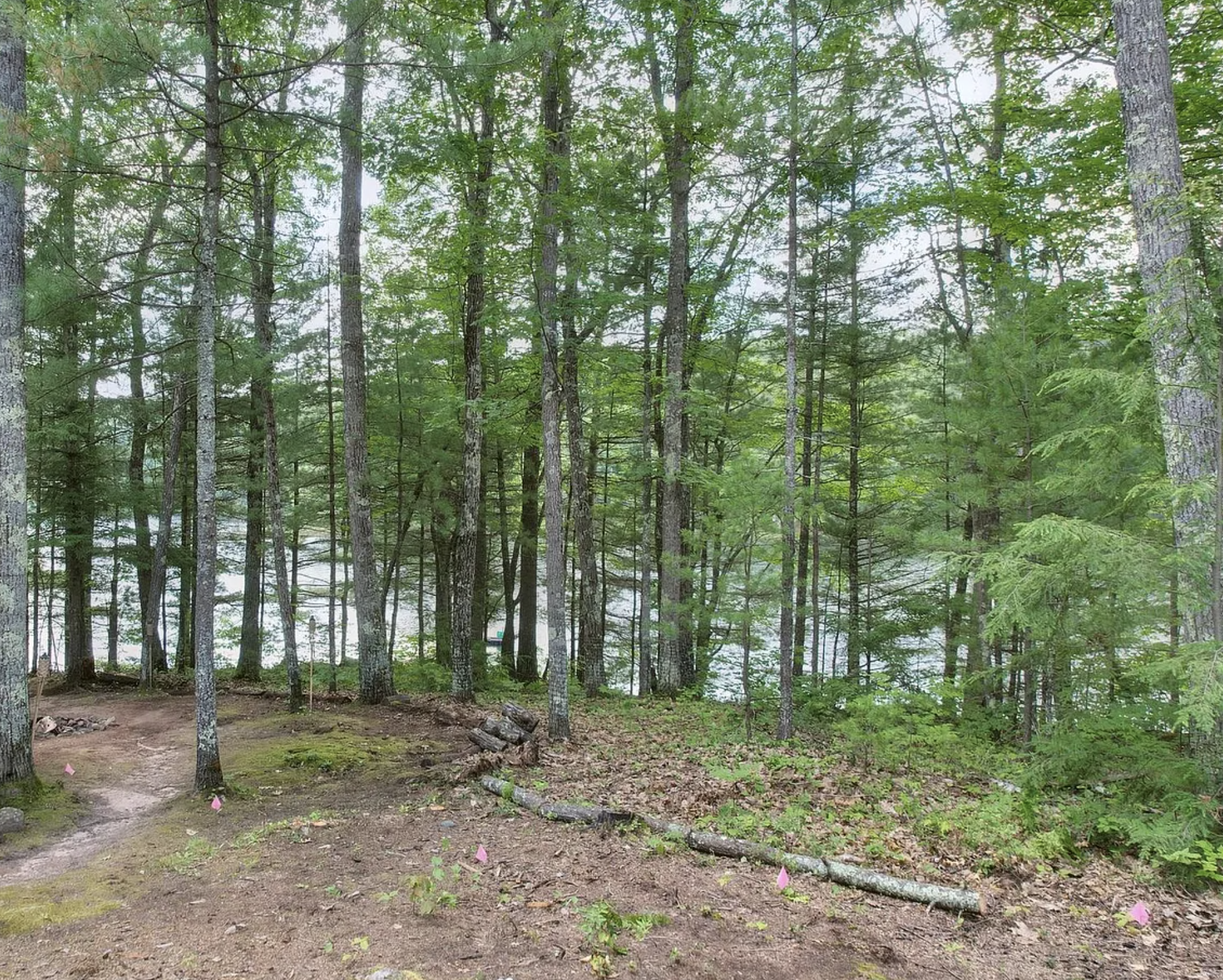 Screenshot 2025-05-28 at 3.14.54 AM